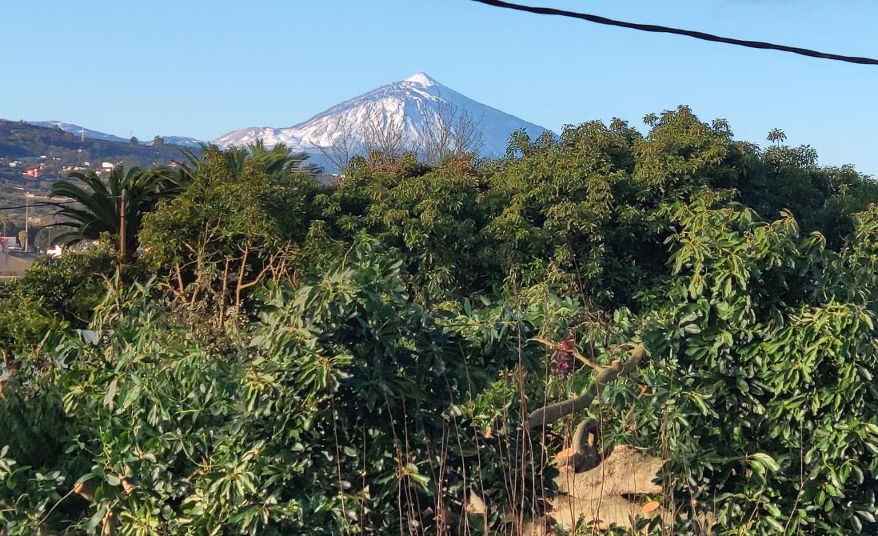 Finca El Trazo Tacoronte Buitenkant foto