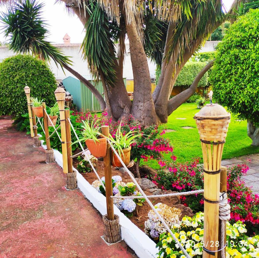 Finca El Trazo Tacoronte Buitenkant foto