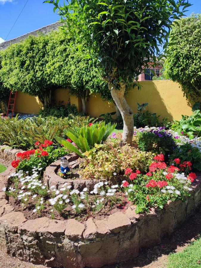 Finca El Trazo Tacoronte Buitenkant foto
