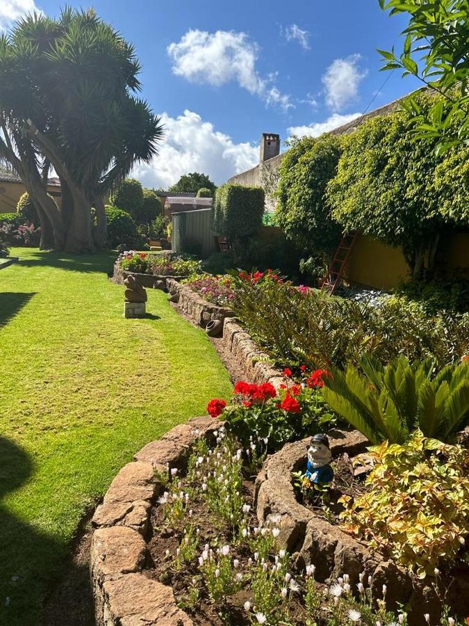 Finca El Trazo Tacoronte Buitenkant foto