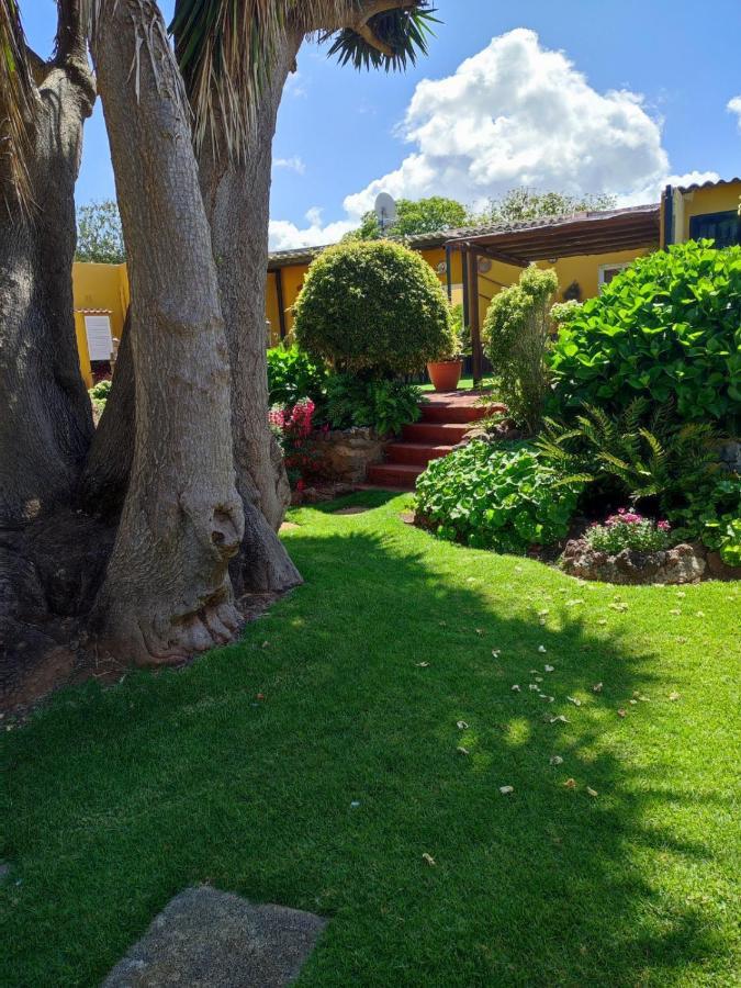 Finca El Trazo Tacoronte Buitenkant foto